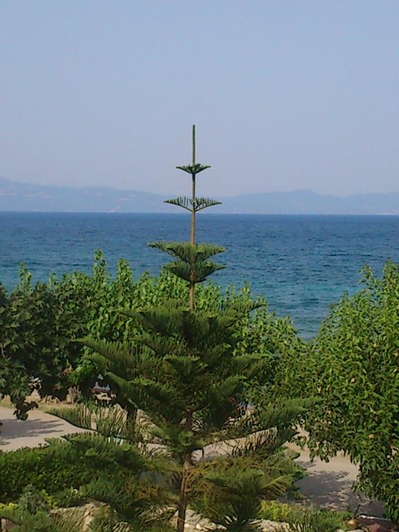 Evoikos Beach & Resort Ливанатес Экстерьер фото