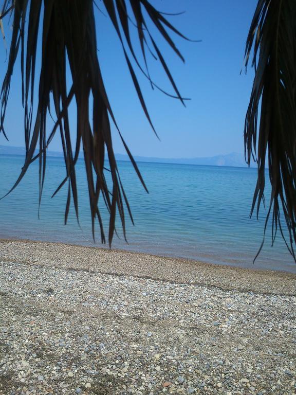 Evoikos Beach & Resort Ливанатес Экстерьер фото
