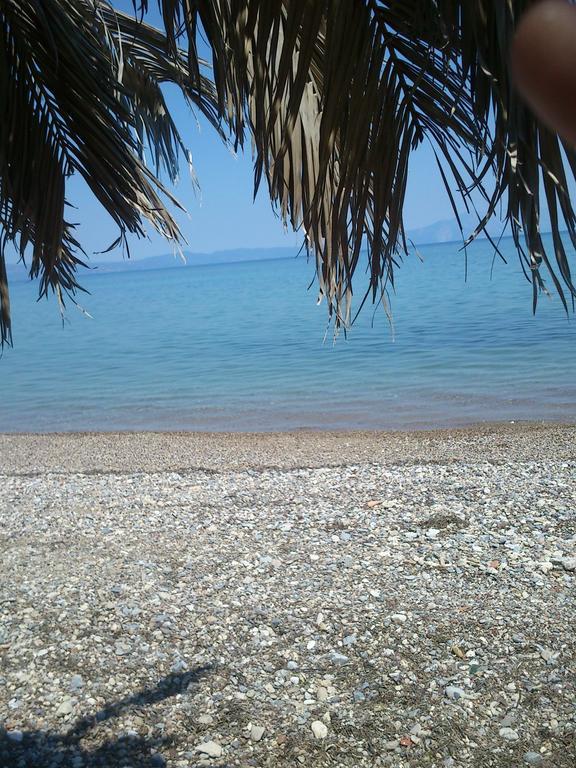 Evoikos Beach & Resort Ливанатес Экстерьер фото