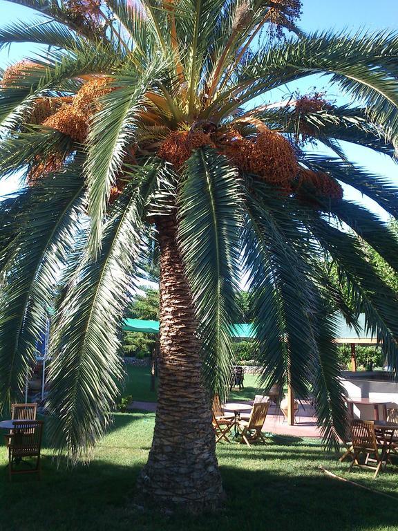 Evoikos Beach & Resort Ливанатес Экстерьер фото